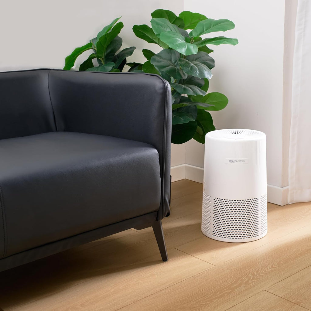 Air Purifier for Home and Office, With Activated Carbon, 3 Speeds, Timer, Sleep Mode (32db), Energy Star Certificate