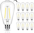 12 Pack Dimmable LED Edison Bulb 40W Equivalent, 5000K Daylight