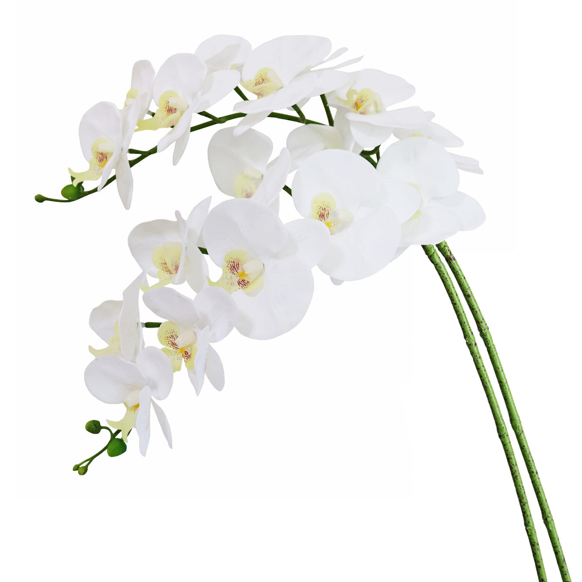 38 Inch Artificial Phalaenopsis Branches Real Touch (Not Silk) Orchids Wedding Decoration, Pack of 2 (White)