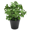 Small Fake Plants Mint Artificial Potted Plants, Green