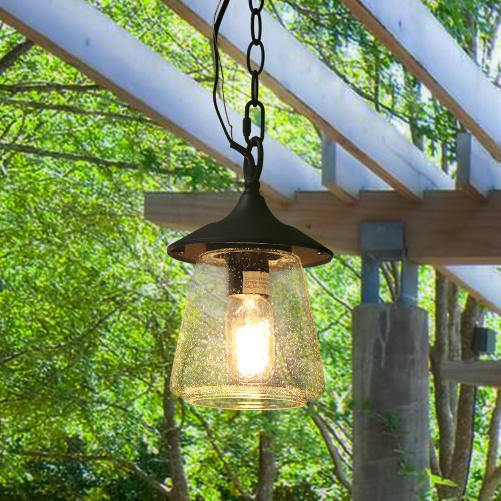 Outdoor Pendant Lights, Porch Fixture in Painted Black Metal with Clear Bubbled Glass Globe