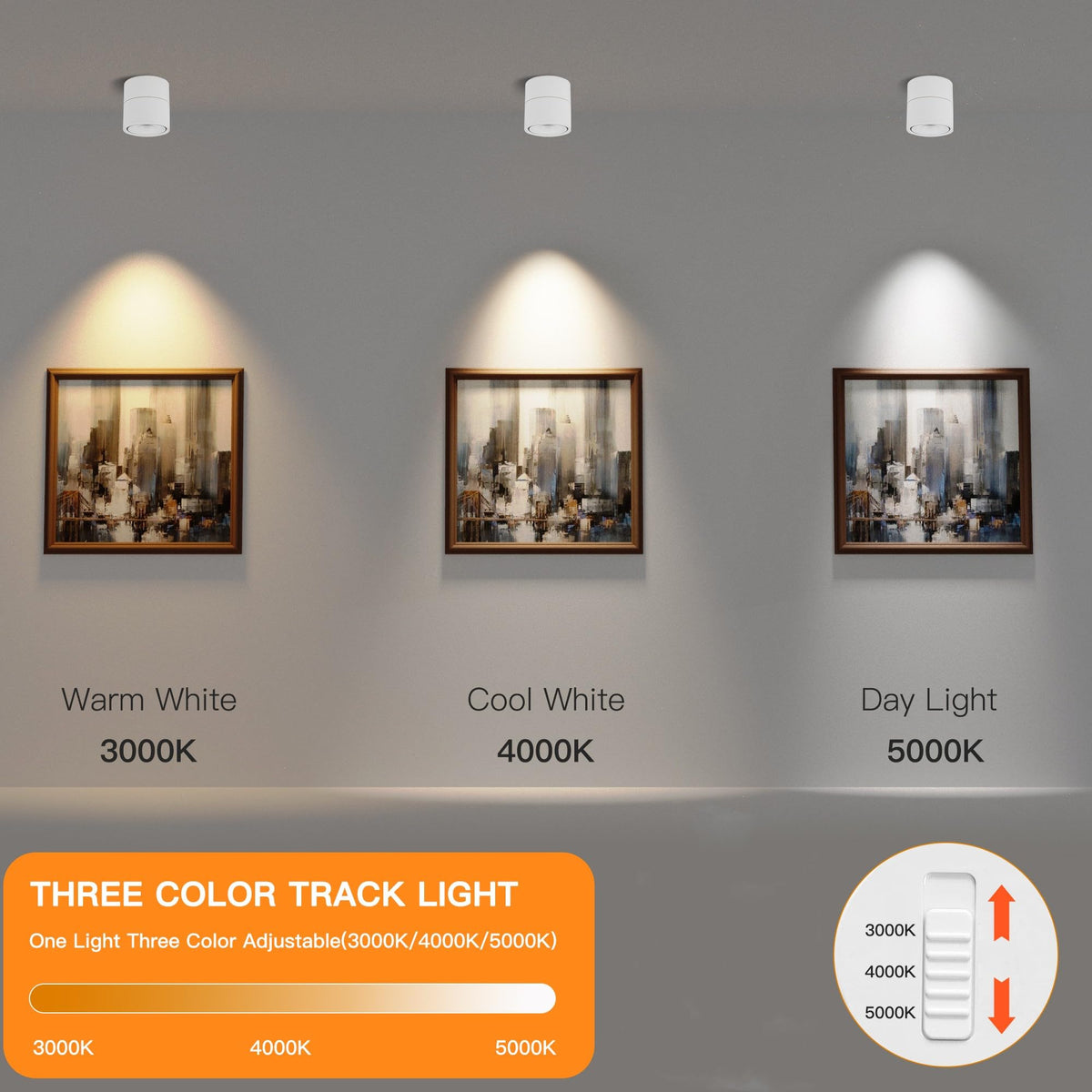 LED Ceiling Spotlight Indoor Directional Lighting Ceiling Light