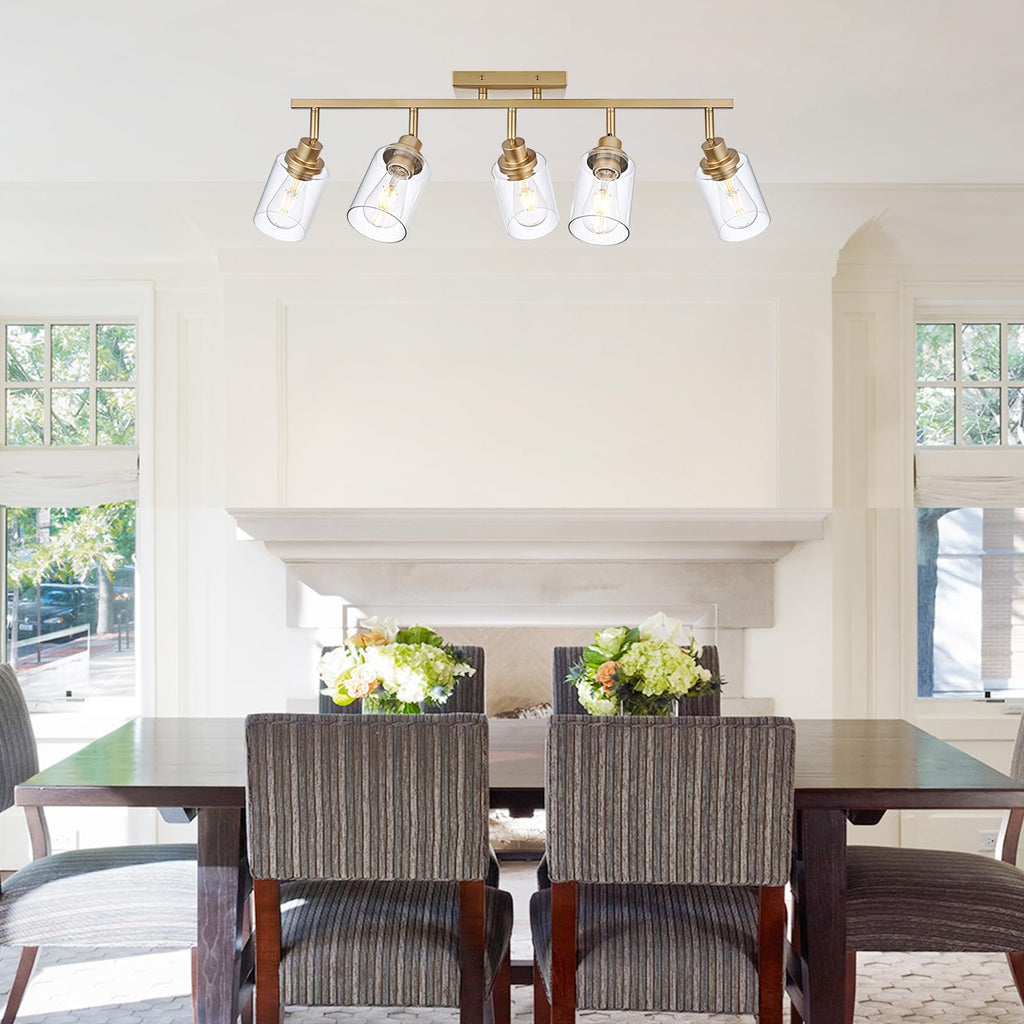 Multi-Directional Rotating Kitchen Tracking Lights Gold, Modern Track Lighting Fixture with Clear Glass