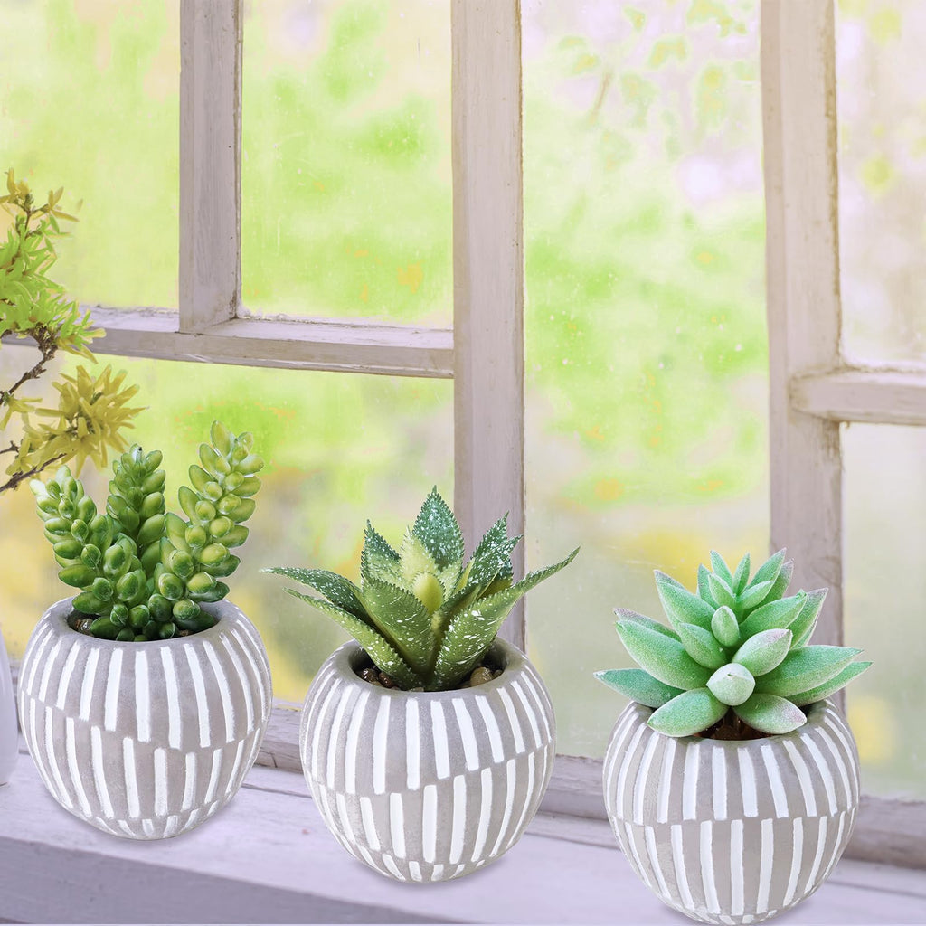 Set of 3 Artificial Succulents Plants in Mini Gray and White Geometric Cement Pots Faux Potted Plants Aloe