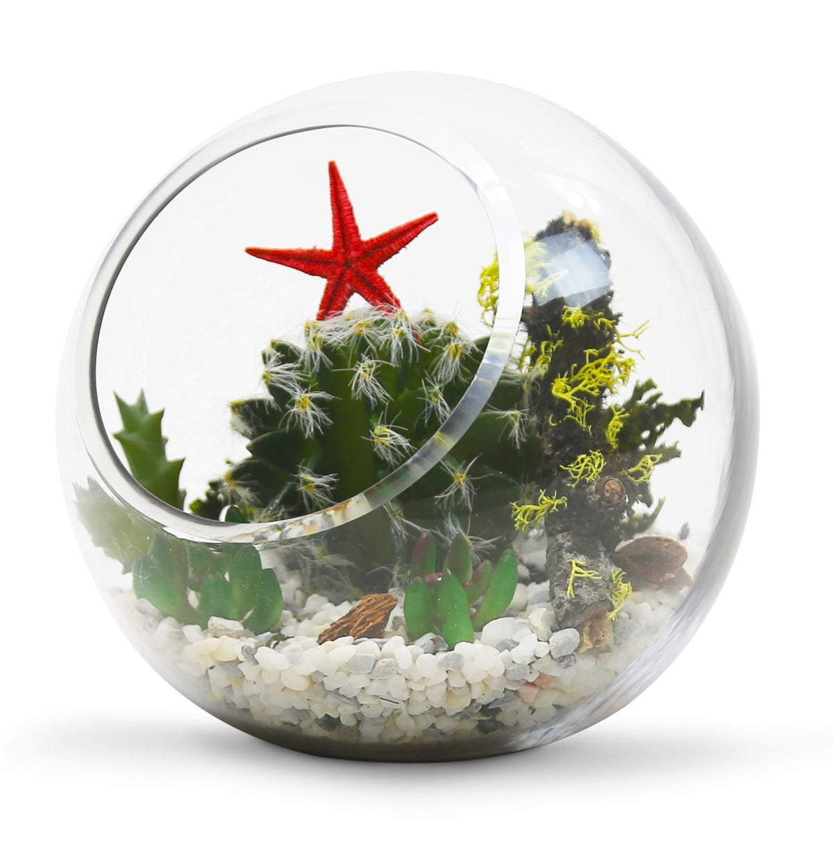 WGV Slant Cut Bowl Glass Vase Bulk, Width 5.5", Height 5.5", Clear Round Globe Planter Terrarium Orb, Candy Dish