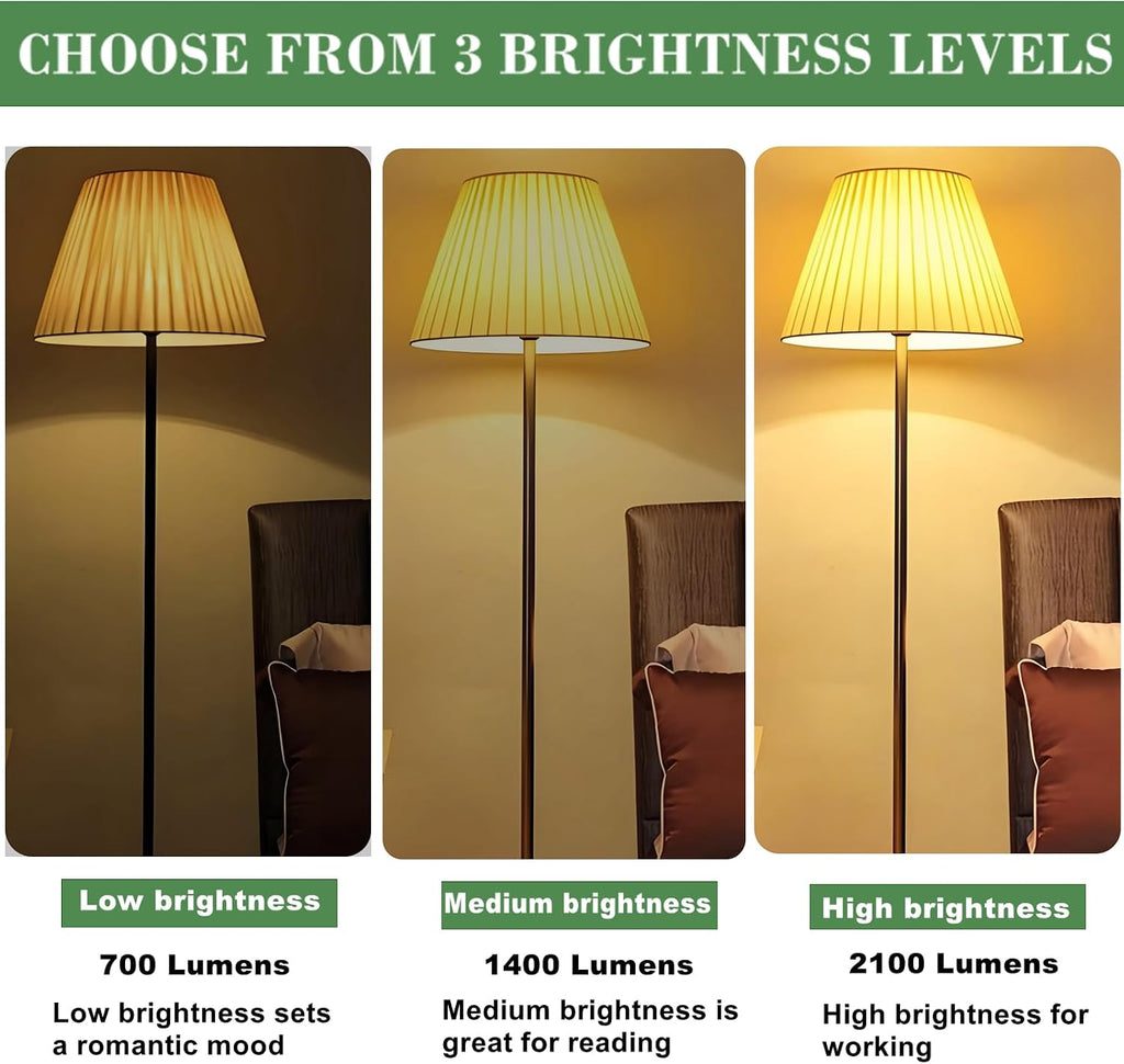 6 Pack 3-Way LED Light Bulb Three Way 50W-100W-150W Equivalent, E26 Base