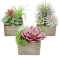 Succulent Plants Artificial Bathroom Decor Fake Plants 3 Pack