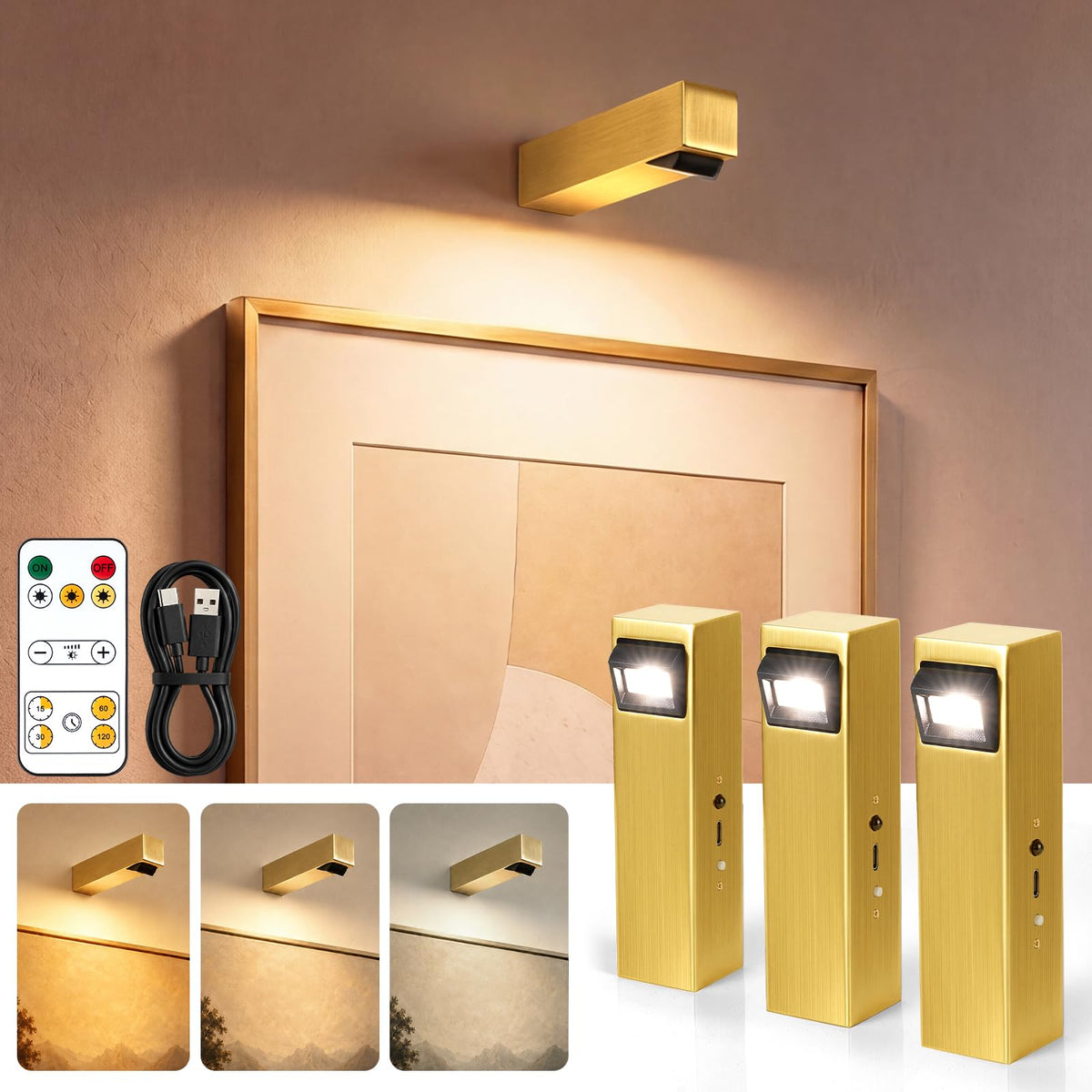 Picture Lights for Wall with 90° Adjustable Head, Metal Rechargeable LED Art Lights with Remote, 3CCT Dimmable