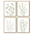 Botanical Plant Framed Wall Art Boho Wall Decor Sage Green Eucalyptus Leaf Prints Minimalist Aesthetic Ready to Hang