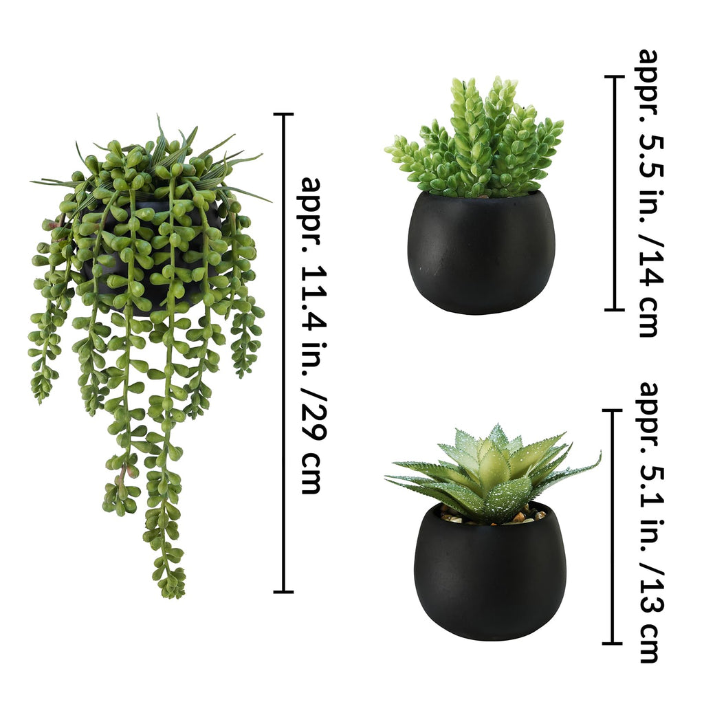 Set of 3 Artificial Succulents Plants in Black Cement Planters Faux Potted Plants Aloe String of Pearls Donkey Tail