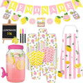 Pink Lemonade Stand Supplies with 1 Gallon Plastic Drink Dispenser - Set of 208