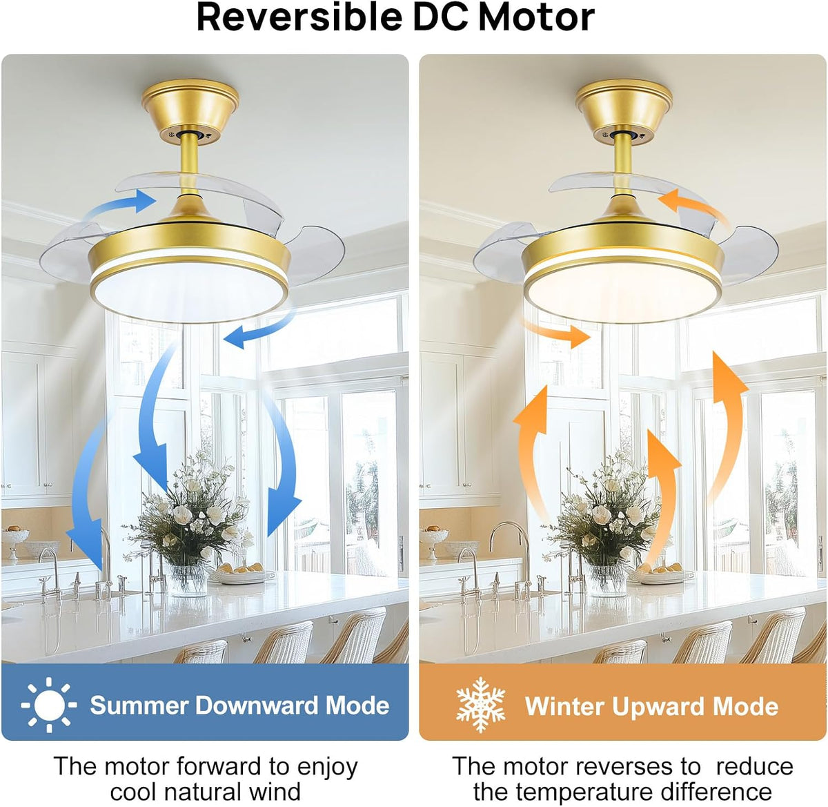 30" Retractable Ceiling Fan with Light & Remote
