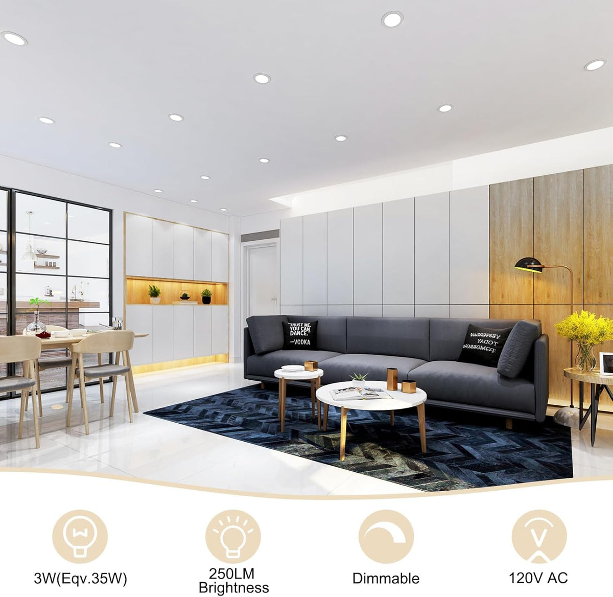 2 Inch LED Recessed Lighting, Dimmable LED Downlight 3W (35W Halogen Equivalent), CRI80, 5000K Daylight White Ceiling