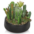 Artificial Cactus Plants in Pot 5.5 Inch Fake Succulents Arrangement Potted Plant in Black Ceramic Planter Bowl Desk