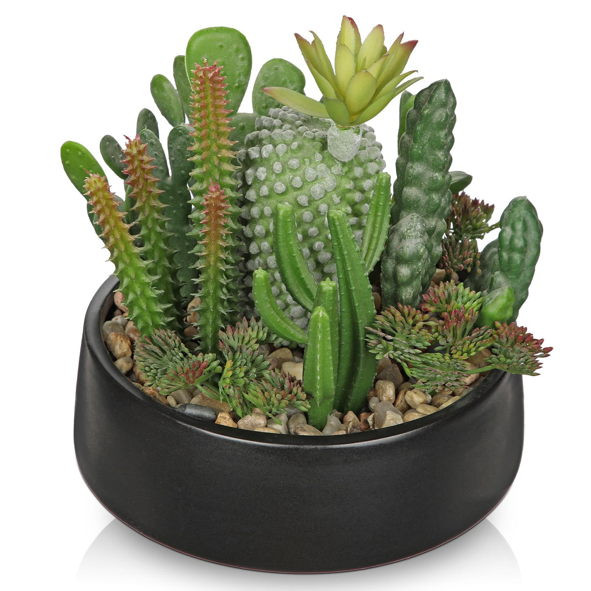 Artificial Cactus Plants in Pot 5.5 Inch Fake Succulents Arrangement Potted Plant in Black Ceramic Planter Bowl Desk