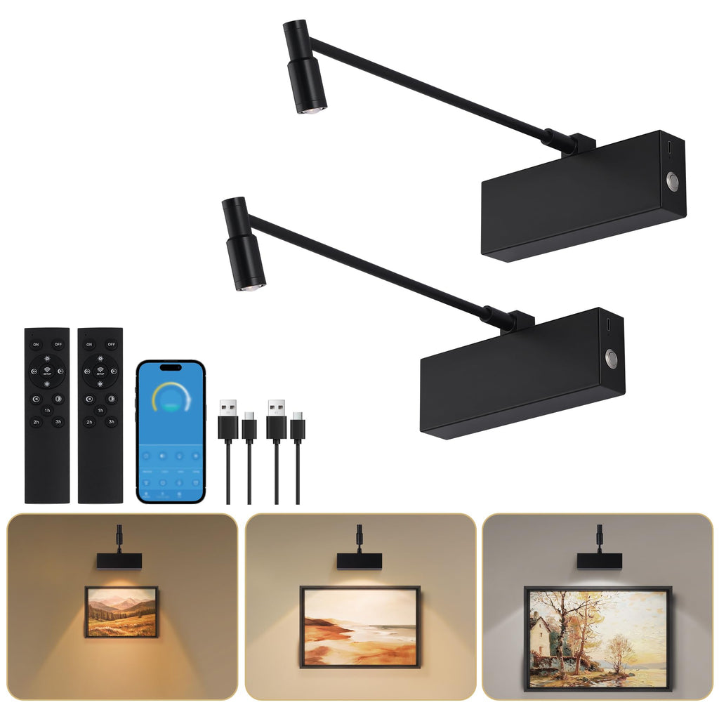 Picture Light for Wall with Adjustable LED Beam, Wireless 8000mAh Rechargeable Art Light with Remote, Battery
