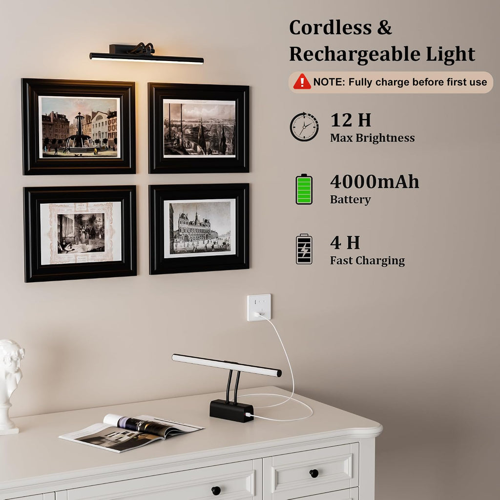Picture Light for Wall, RF Remote, USB Charging, Black