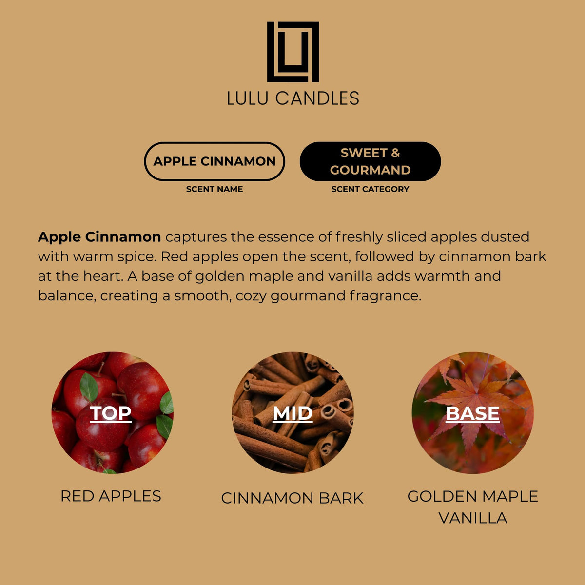 Apple Cinnamon | Luxury Scented Soy Jar Candle | Hand Poured in The USA | Highly Scented & Long Lasting (9 Oz.)