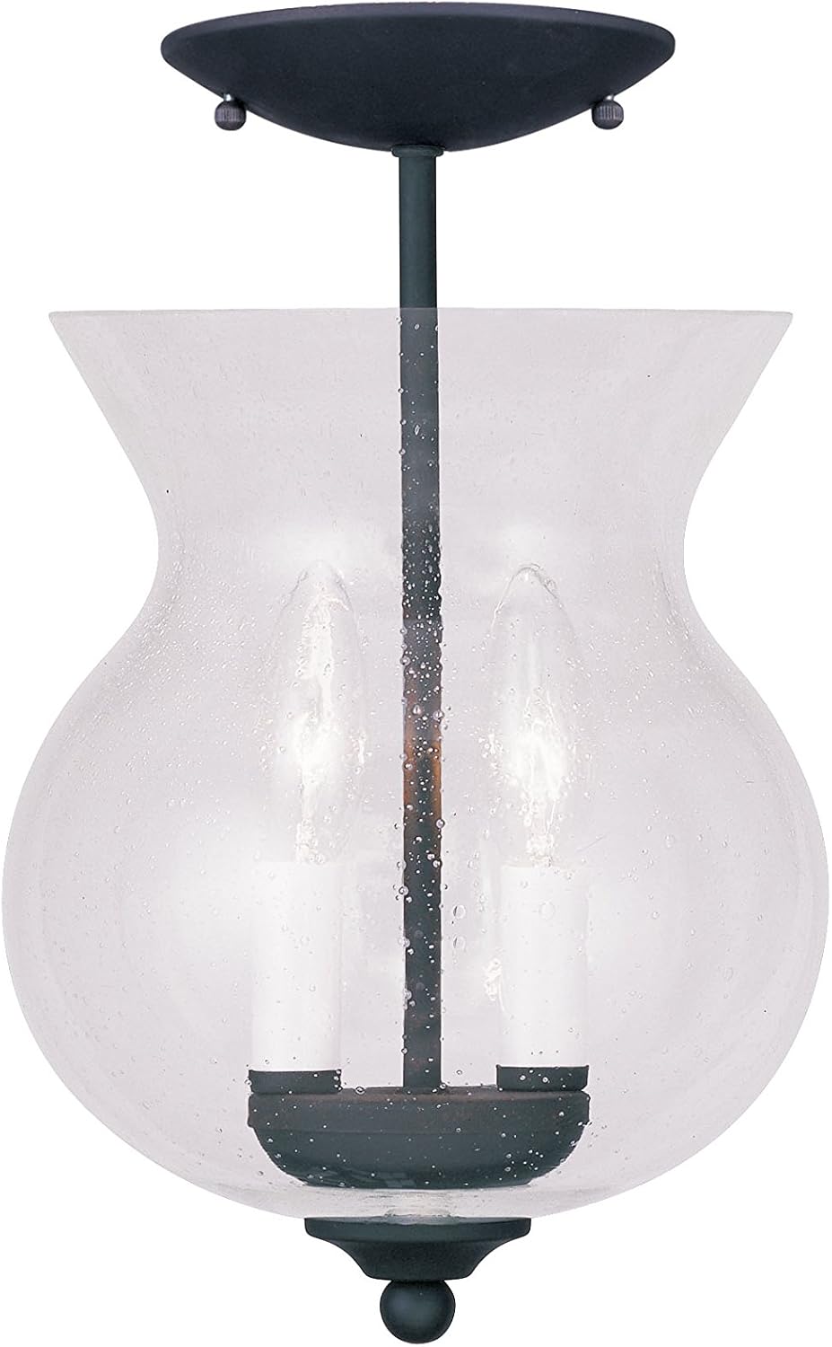 Legacy 2-Light Convertible Hanging Lantern/Ceiling Mount, Black