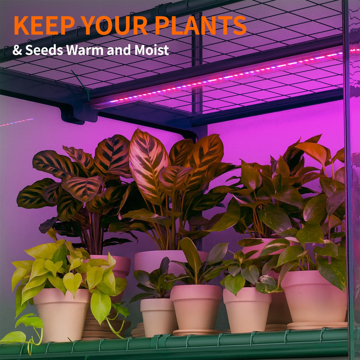 Indoor Greenhouse with Grow Lights, 4-Tier Mini Greenhouse PVC Cover