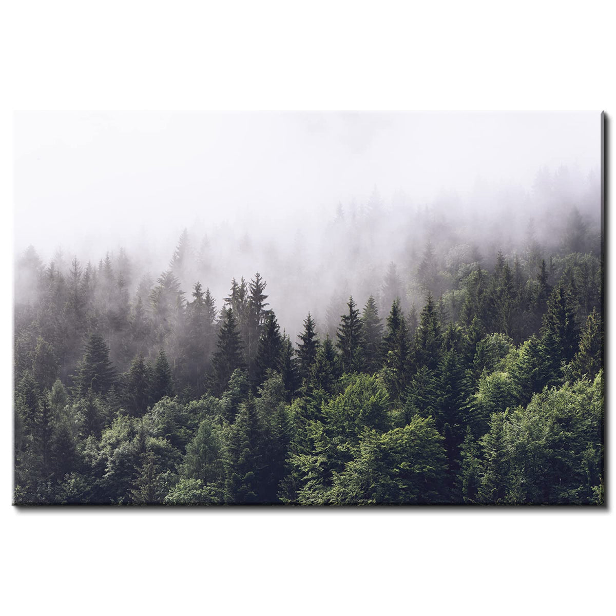 Pine Tree Canvas Wall Art Kitchen, Rustic Misty Foggy Forest Scenery Picture Wall Decor Nature Mountain Landscape