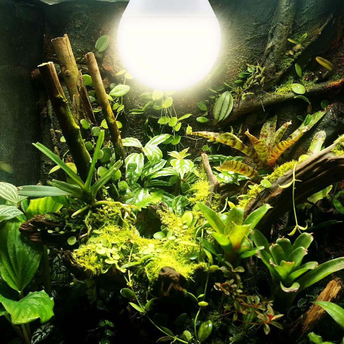 Grow Light Bulbs for Indoor Plants, Full Spectrum Grow Light Bulb, 11W LED Growing Plant Light Bulb for Seed