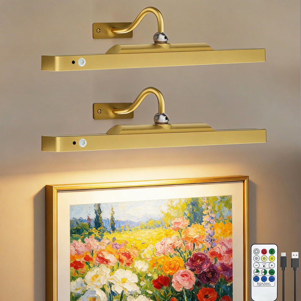 Picture Lights for Wall, Rechargeable Motion Sensor Art Light