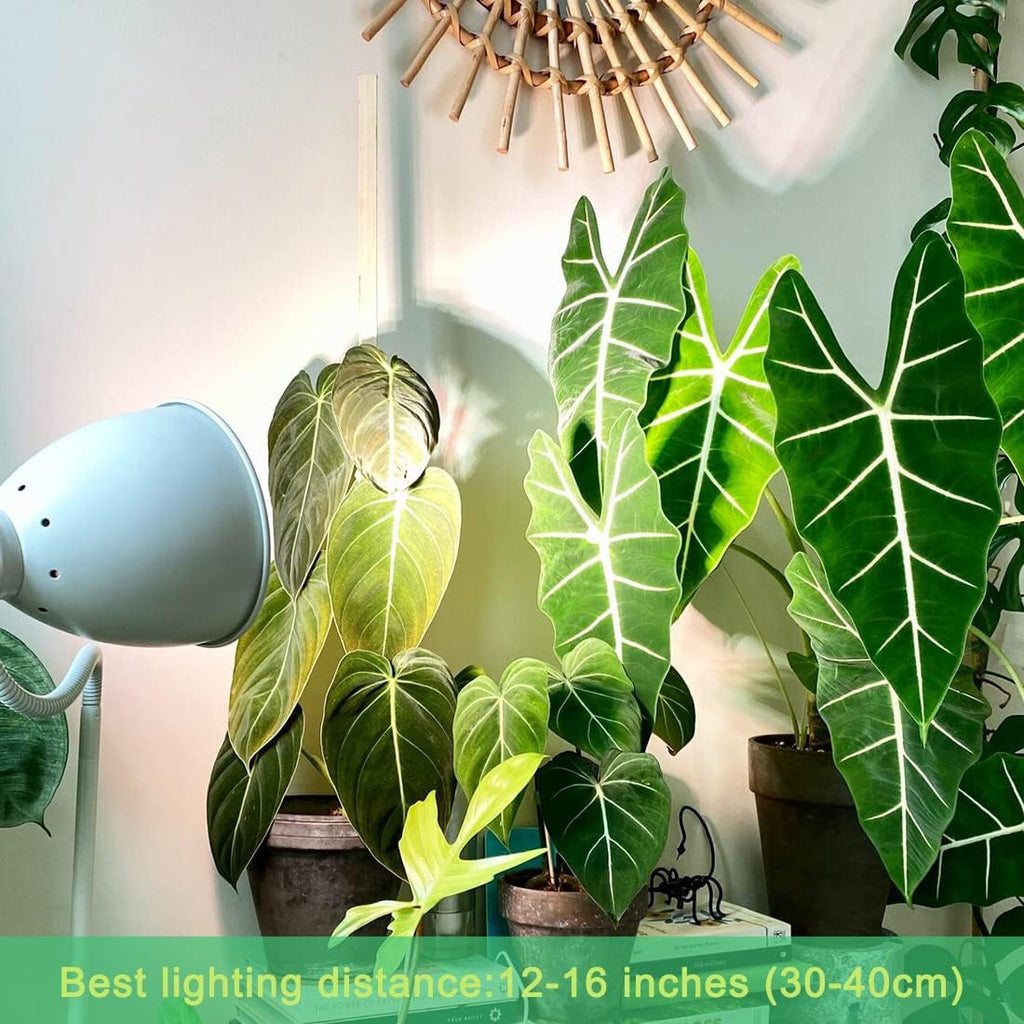 Grow Light Bulbs for Indoor Plants, Full Spectrum Grow Light Bulb, 11W LED Growing Plant Light Bulb for Seed