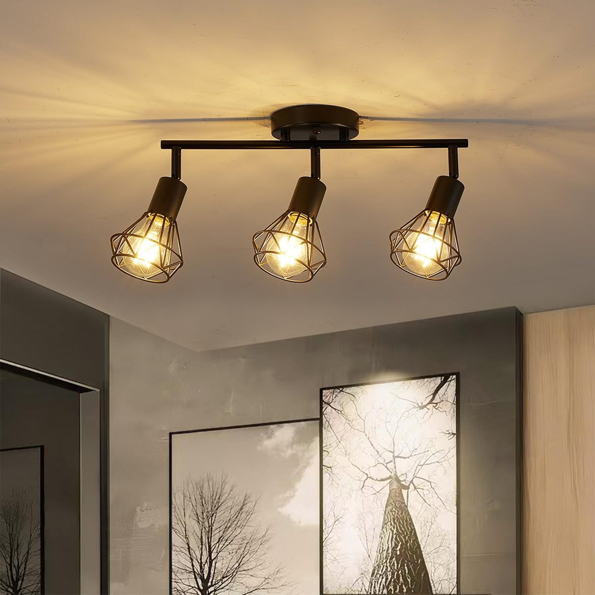 Black Geometric Cage Adjustable Rotatable Track Ceiling Light Fixture