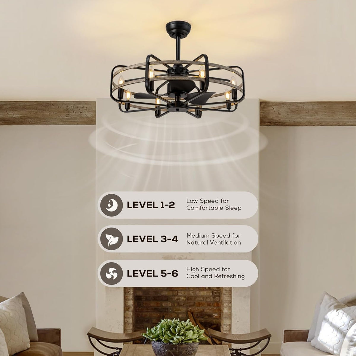 30" Caged Ceiling Fan with Light & Remote