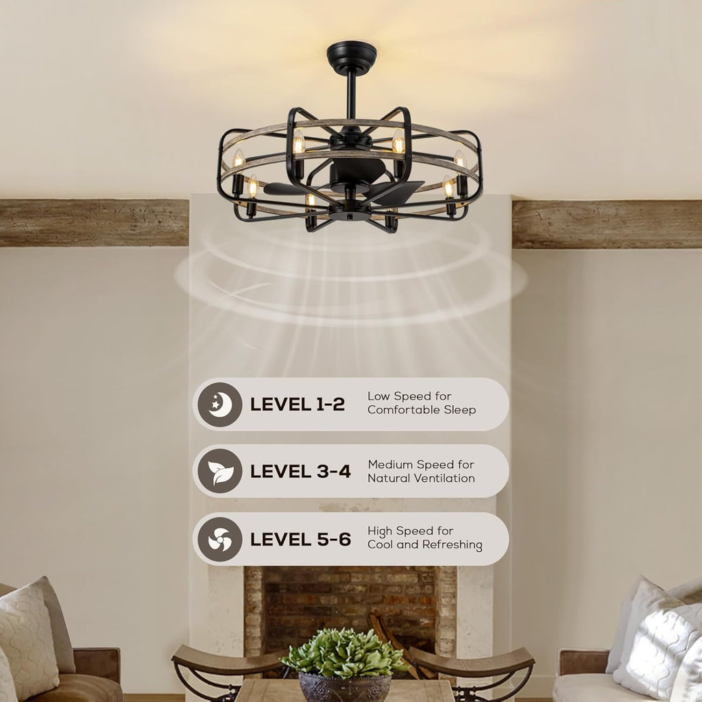 30" Caged Ceiling Fan with Light & Remote