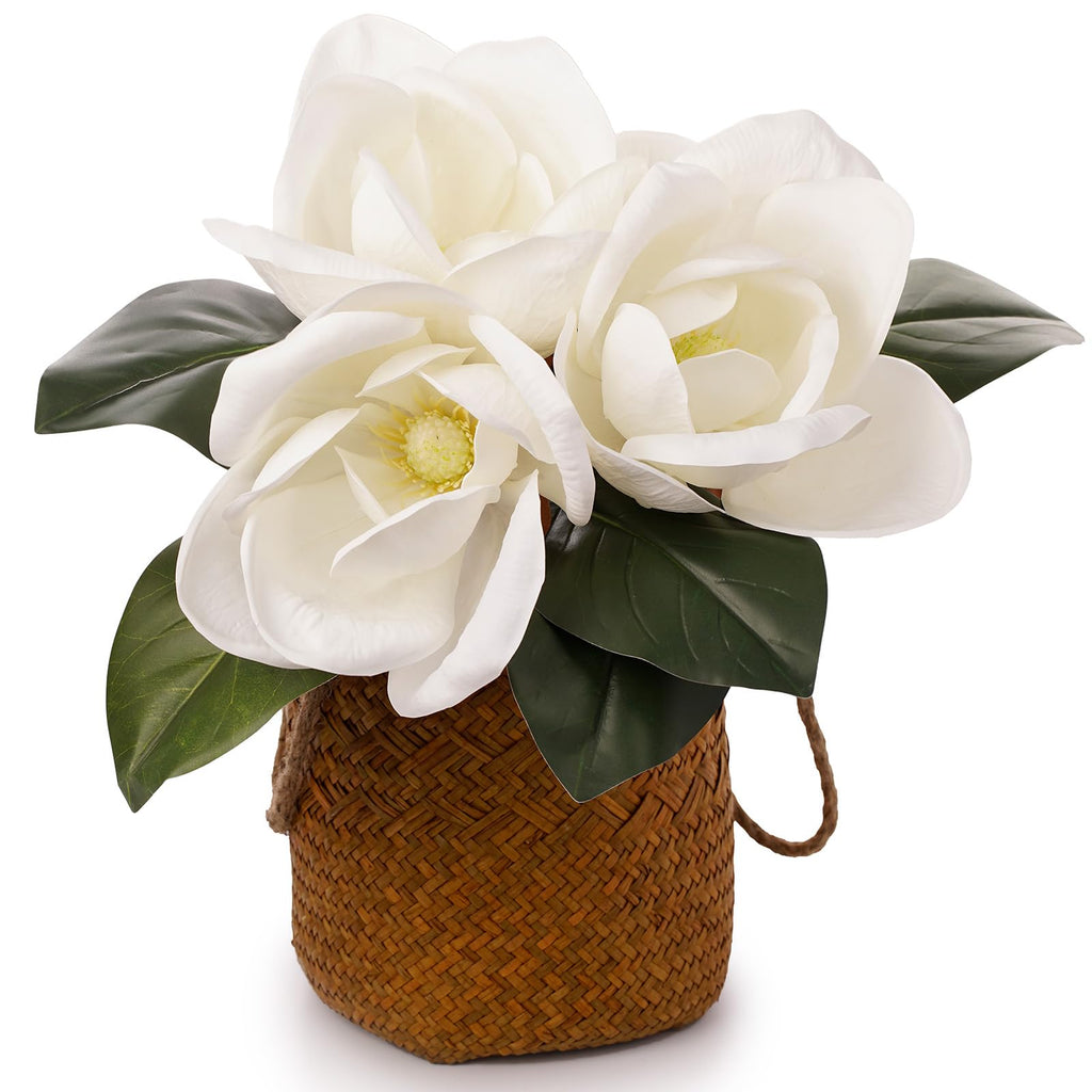 3 Stems Real Touch Creamy White Southern Magnolia Flowers, Artificial Realistic Magnolia Grandiflora Décor