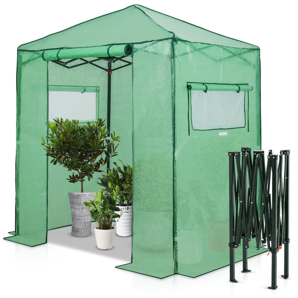 6x4 Easy Setup Small Pop Up Greenhouse, Clear/Green