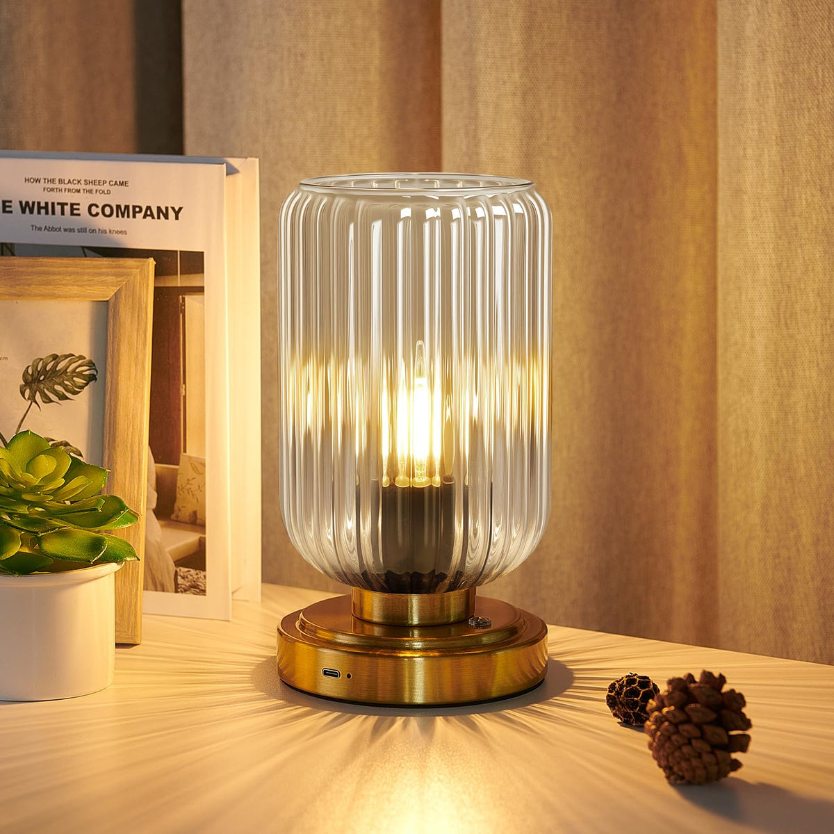 Cordless Table Lamp, Touch Stepless Dimmable