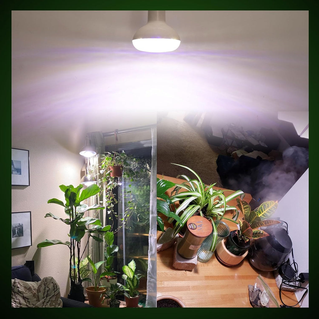 2Pack LED Grow Light Bulb 15W(150WEquivalent) E26/E27 Base BR30 5000K Red Blue Full Spectrum Plant Light Bulb