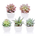 5pcs Artificial Succulent Plants, Small Fake Desk Plants Mini Succulents Indoor for Shelf Living Room Bedroom