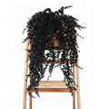 Black Artificial Hanging Gothic Plant 31.5" Fake Fall Greenery Vine