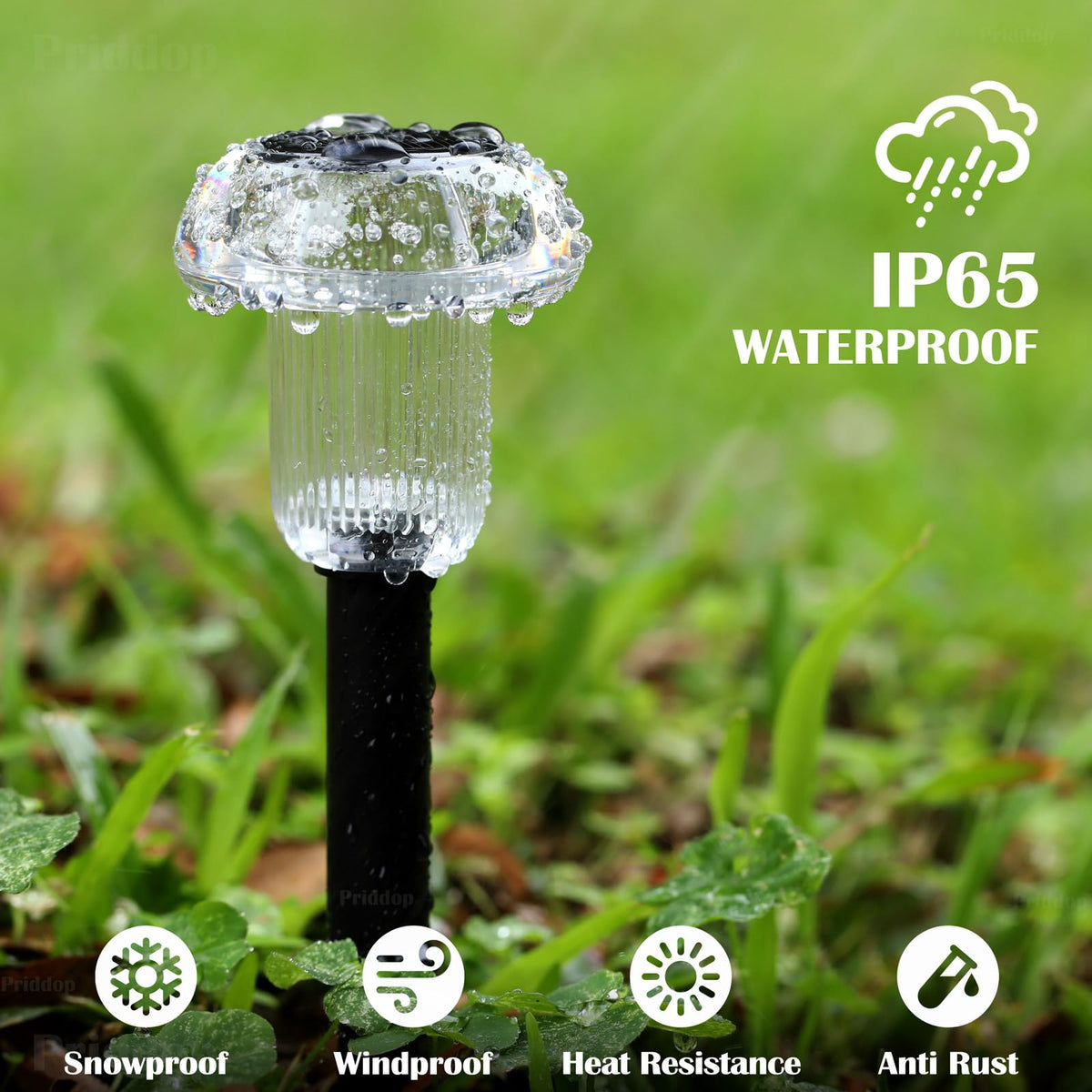 8 Pack Solar Garden Lights Outdoor Waterproof 3000K Warm White LED