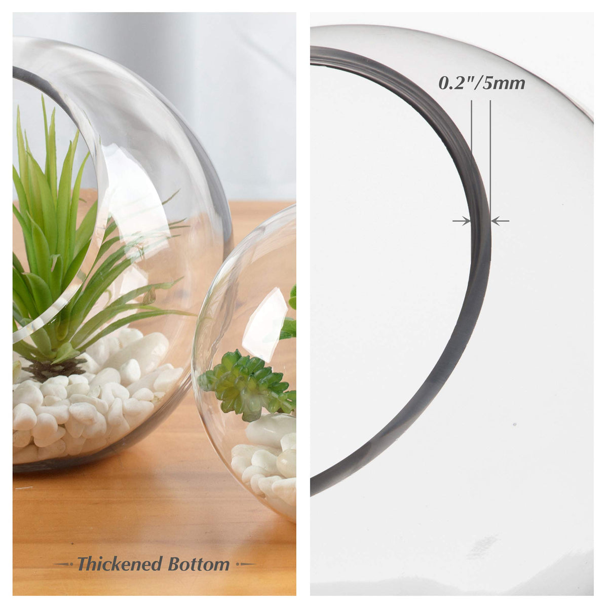 WGV Slant Cut Bowl Glass Vase Bulk, Width 5.5", Height 5.5", Clear Round Globe Planter Terrarium Orb, Candy Dish