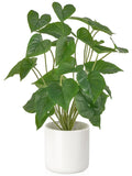 Fake Plants in Ceramic Pot, 17" Potted Artificial Plants Home Decor