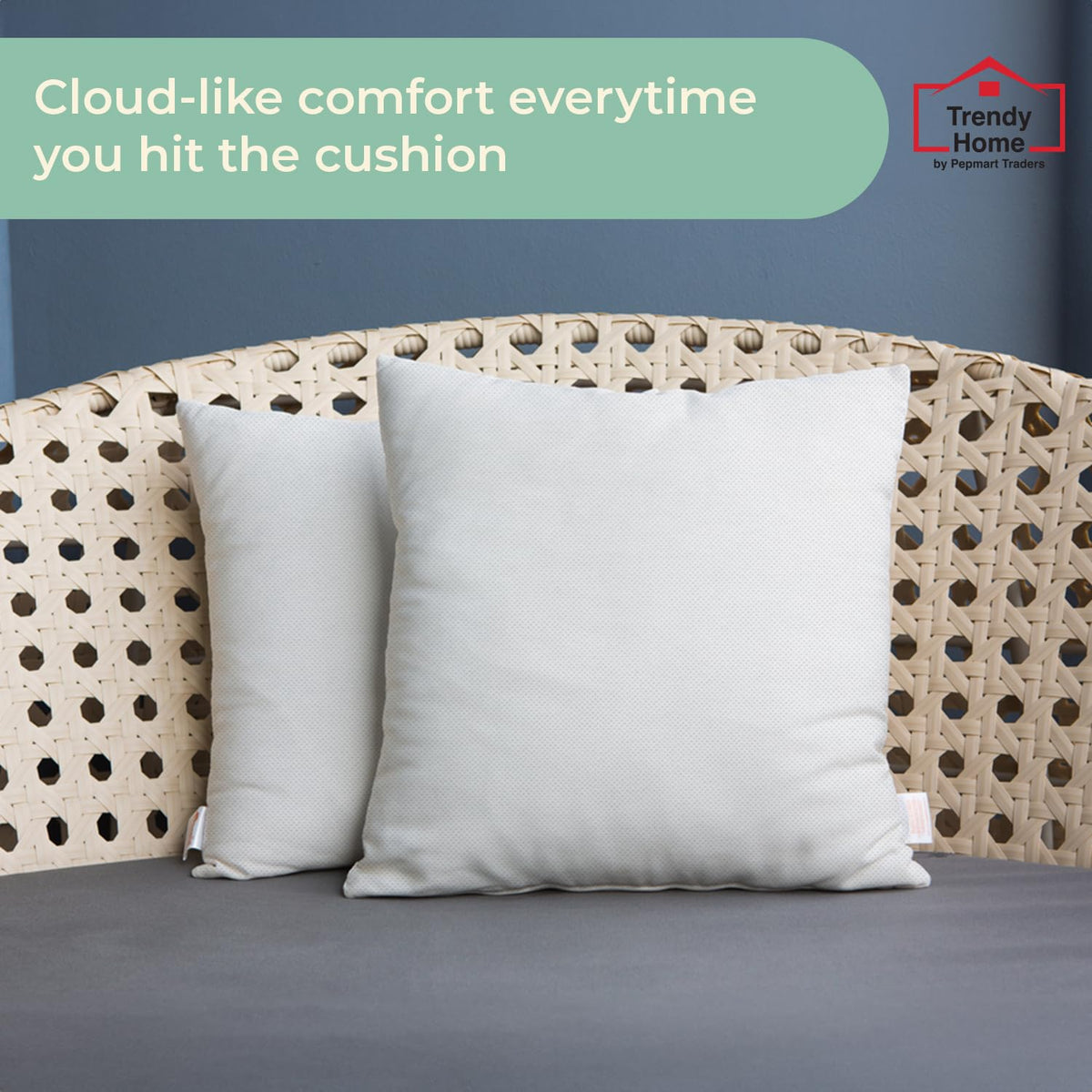 20x20 Throw Pillow Insert (Set of 2, White) Bed and Couch Pillows Stuffer Hypoallergenic, Decorative Home Indoor