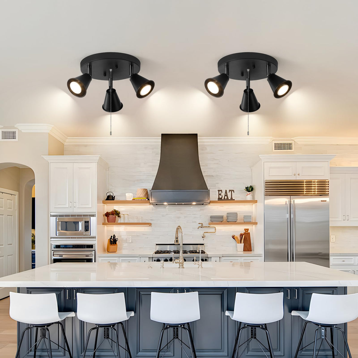 Industrial Directional Track Lighting with Pull Chain On/Off, Black Ceiling Spotlight, Morden Flush Mount