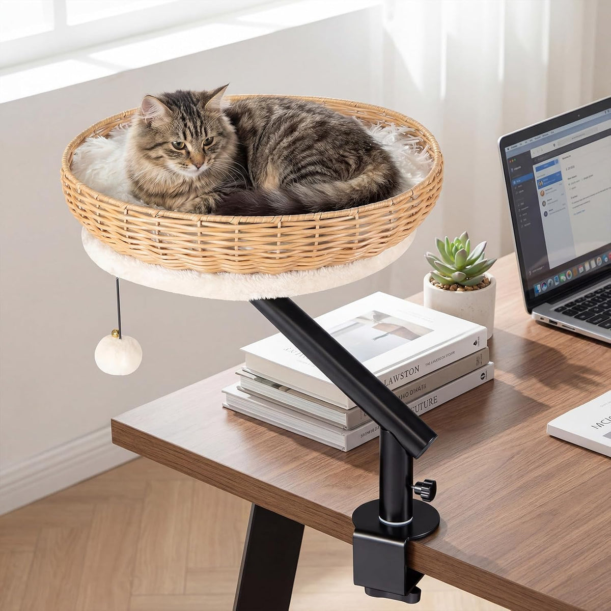 Cat Desk Bed, 360° Rotatable Rattan Desk Cat Bed Attachment with Removable Padded Cushion, Hanging Jingling Ball &