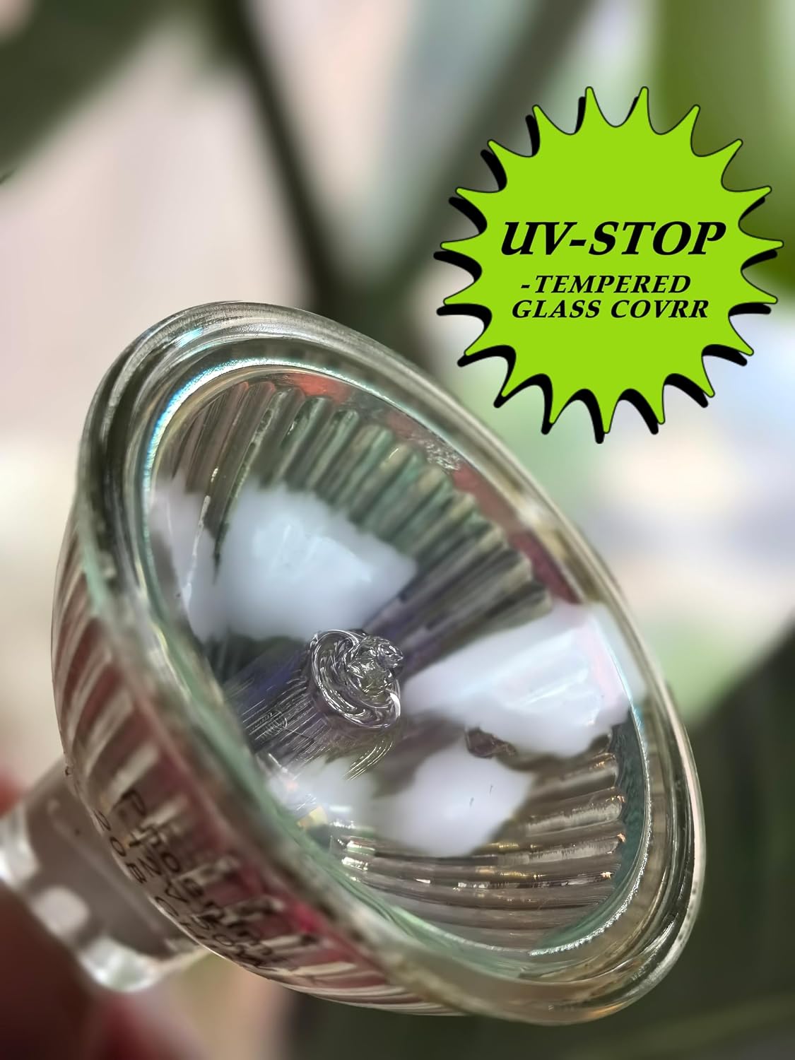 6PCs MR16 12V 50W EXN High Output 800LM Halogen Bulb GU5.3 Pin Base, 2-Inch 38° Beam Angle, UV Stop Tempered Glass