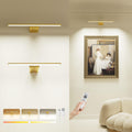 Picture Light for Wall with Remote, Picture Lights Battery Operated Rechargeable 12000mAh, 3 Colors & 3 Timers