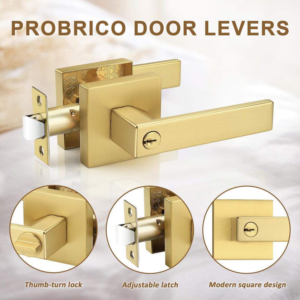 2 Pack Gold Entry Door Handles,Satin Brass Heavy Duty Interior Front Door Handles with Keys, Entrance Exterior