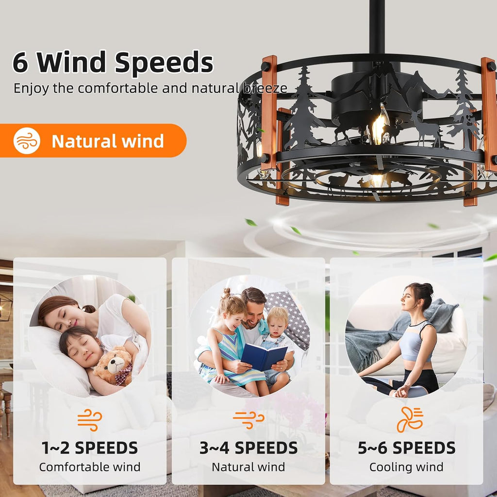 19" Black Caged Ceiling Fan with Light