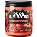 Apple Cinnamon Odor Eliminating Candle - 9 oz Fall Candles