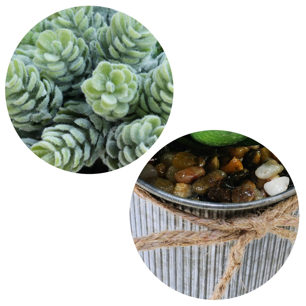 Set of 3 Small Artificial Succulent Potted Plants Faux Aloe Hops Hanging Succulent in Rustic Galvanized Metal Pots