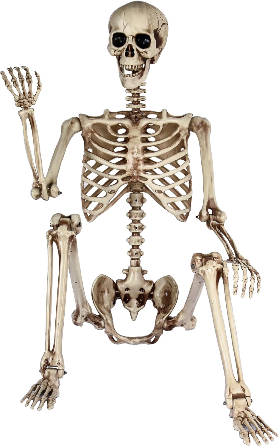 5.4ft Life Size Skeleton,Poseable Halloween Giant Skeletons Decorations Outdoor,Full Body Human Bones with Movable